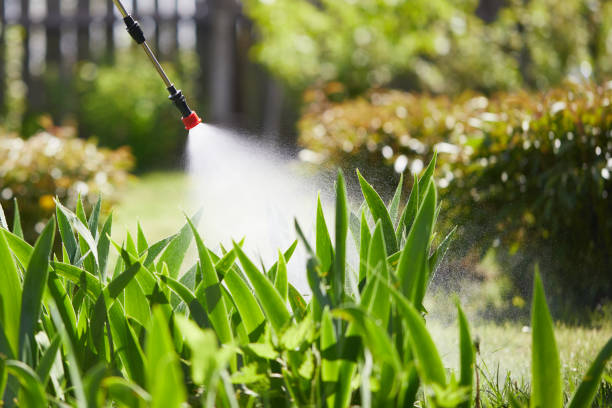 24/7 Emergency Wasp Removal experts in Van, TX