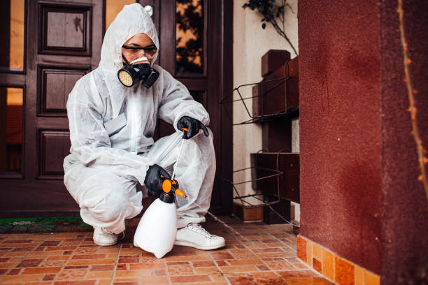 Reliable Wasp Removal contractor in Van, TX by Show Me Pest Control